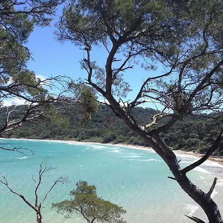 Casa vacanze Holiday Le Ceinturon Hyères